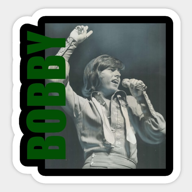 Bobby Sherman // Retro Aesthetic Fan Art // 80s Sticker by Momogi Project